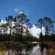 Image for article titled Report: Trump Is Killing a Major Rule to Protect Drinking Water and Wetlands